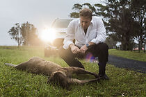 Watch The Kangaroo Guy (Short 2015)