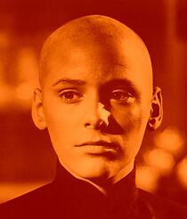 Watch Zen and Now: A Dinner with David Carradine & Friends