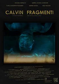 Watch Calvin Fragmenti