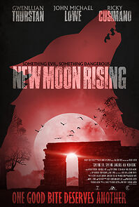 Watch Something Evil, Something Dangerous: New Moon Rising