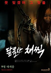 Watch Dalkomhan chaejjik