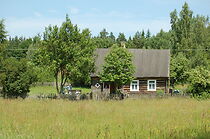 Watch Oj Boze, drogi Boze (Short 2011)