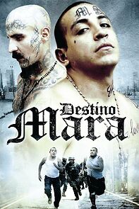 Watch Destino Mara