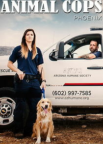 Watch Animal Cops: Phoenix