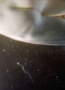 Watch Streakers (Short 2004)