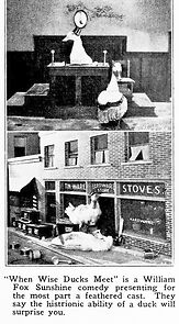 Watch When Wise Ducks Meet (Short 1924)