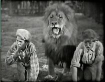 Watch Wild Puppies (Short 1927)