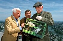 Watch Fliege hat Angst