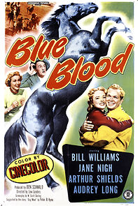 Watch Blue Blood