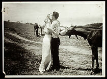 Watch A Transa do Turfe