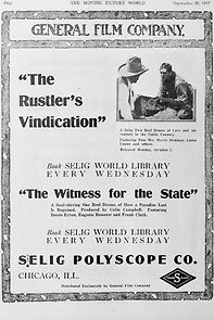 Watch The Witness for the State (Short 1917)