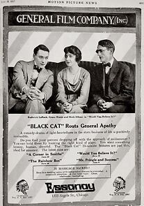 Watch Would You Believe It? (Short 1917)