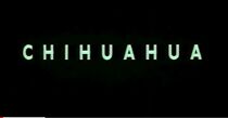 Watch Chihuahua (Short 1991)