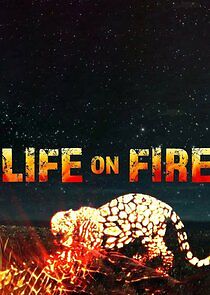 Watch Life on Fire