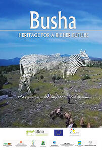 Watch Busa (Short 2015)