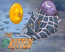 Watch The 13th Kitten