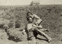 Watch The Brave Deserve the Fair (Short 1915)