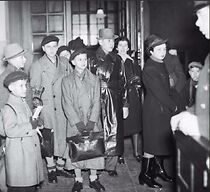 Watch They Fought Back!