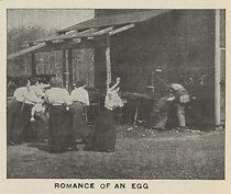 Watch The Romance of an Egg (Short 1908)