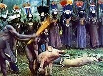 Watch Le cochon aux patates douces (Short 1971)