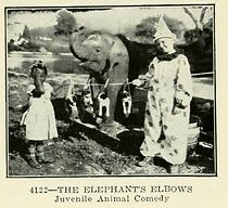Watch The Elephant's Elbows (Short 1928)