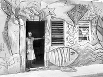 Watch ¡Luchando! Cuba's Struggle to Survive