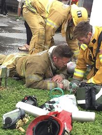 Watch World's Most Amazing Animal Rescues: Part 3