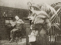 Watch The Caprices of Kitty