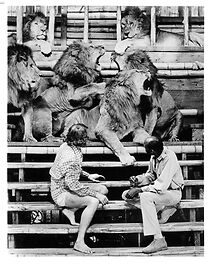 Watch Roar: The Most Dangerous Movie Ever Made