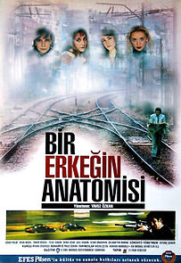 Watch Bir Erkegin Anatomisi