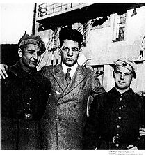 Watch Shamrock and Swastika