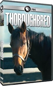 Watch Thoroughbred