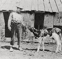 Watch Fresh from the Farm (Short 1921)