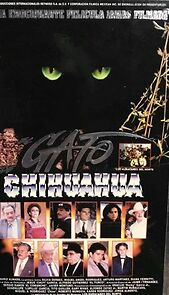 Watch El gato de Chihuahua
