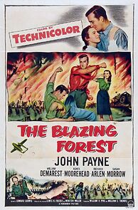Watch The Blazing Forest