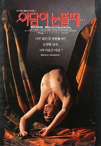 Watch Adam-i nuntteul ttae