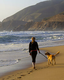 Watch My Friend: Changing the Journey