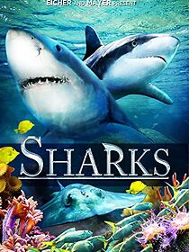 Watch Sharks (in 3D)