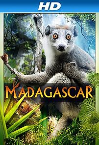Watch Madagascar 3D