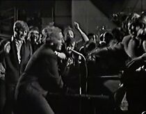 Watch Whole Lotta Shakin