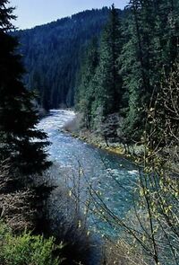 Watch Bump City (Short 2015)