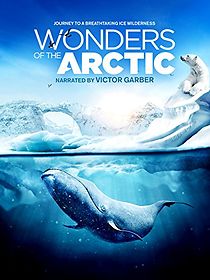 Watch Wonders of the Arctic 3D (Short 2014)