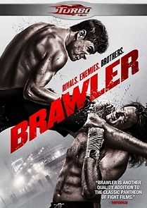 Watch Brawler
