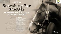 Watch Searching for Shergar