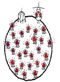 Watch Adam (Short 2002)