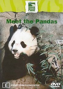 Watch Meet the Pandas
