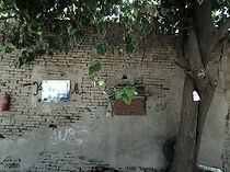 Watch Where Is Iraq? (Short 2005)