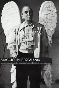 Watch Viaggio in Bergmania