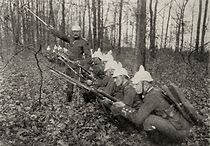 Watch The Crimson Wing