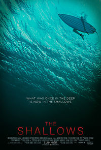 Watch The Shallows